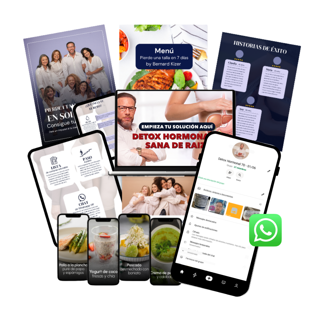 Mockup del programa Fase 1 — Detox Hormonal